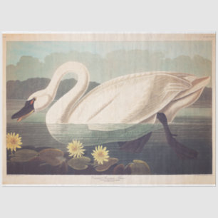 Swan Tissue or Decoupage Paper