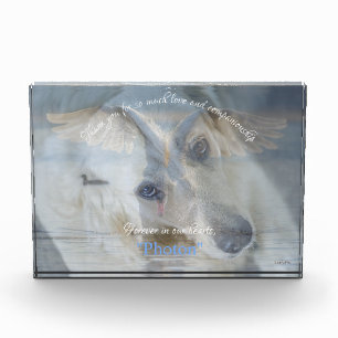 Swan Transparent Image Overlay Acrylic Photo