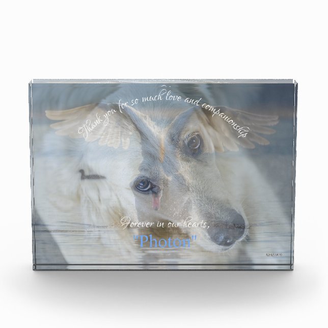 Swan Transparent Image Overlay Acrylic Photo (Front)