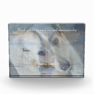 Swan Transparent Image Overlay Acrylic PhotoHAMbyW Photo Block