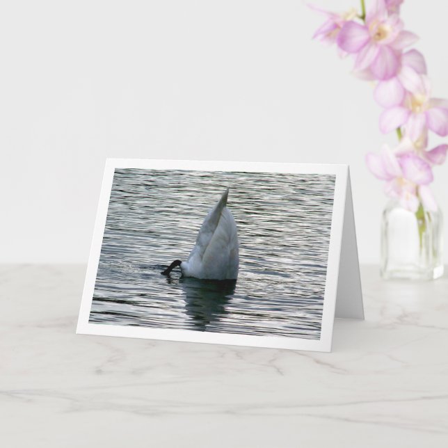 Swan Upside Down in Lake Card (Orchid)