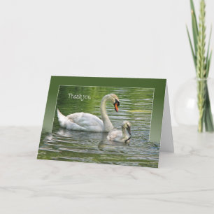 Swan with cygnet in water for thank you