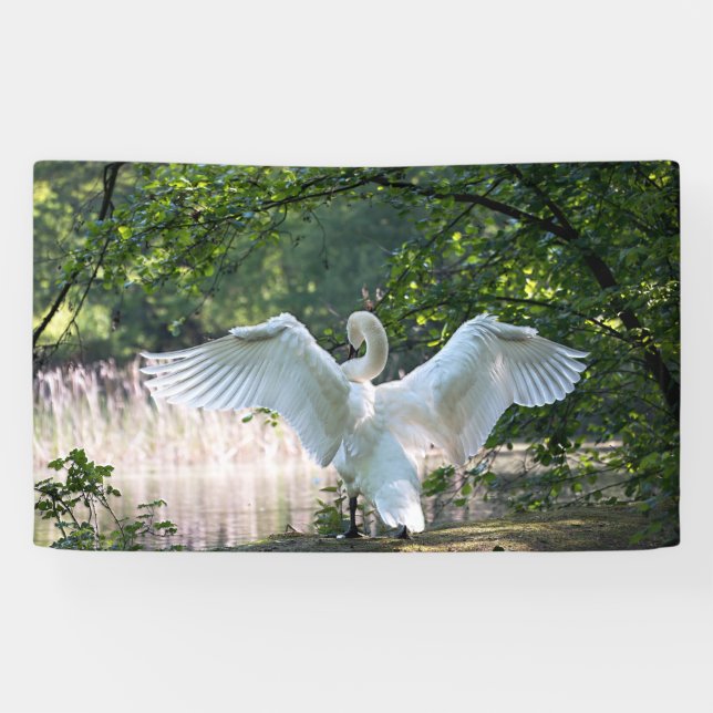 Swan with Wings Spread Banner (Horizontal)