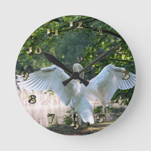 Swan with Wings Spread Round Clock