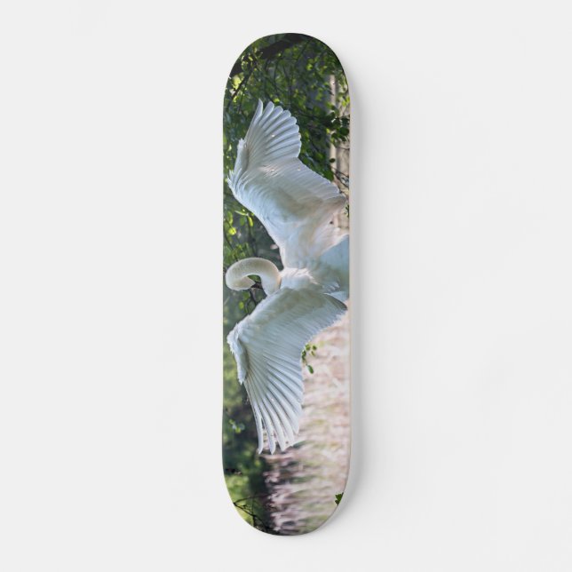 Swan with Wings Spread Skateboard (Front)