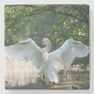 Swan with Wings Spread Stone Coaster