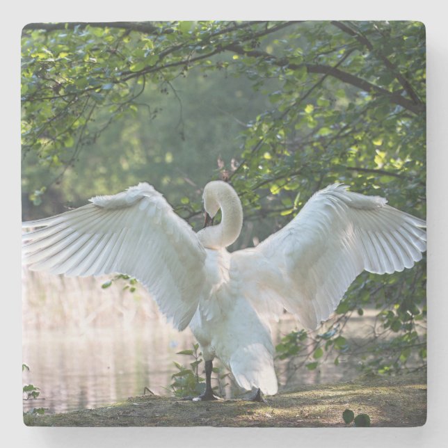 Swan with Wings Spread Stone Coaster (Front)