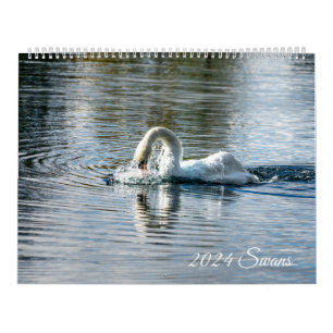 Swans 2024 calendar