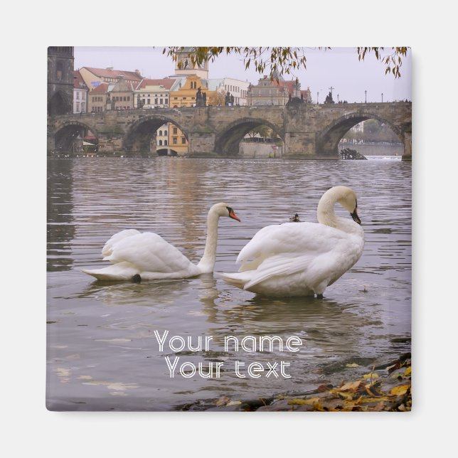 Swans and Charles bridge in Prague Magnet (Front)