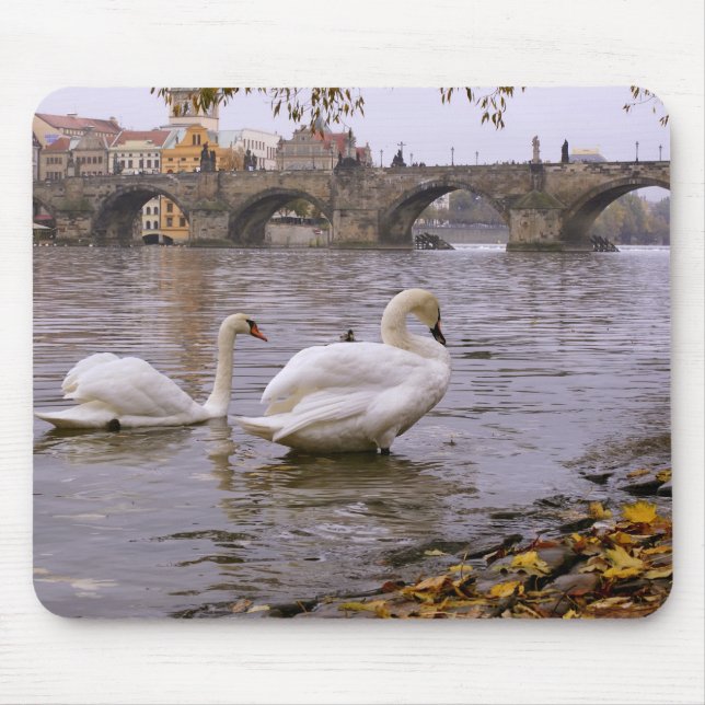 Swans and Charles bridge in Prague Mouse Pad (Front)