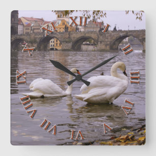 Swans and Charles bridge in Prague Square Wall Clock