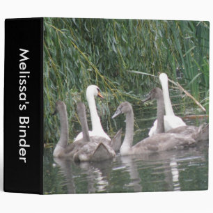 Swans and Cygnets Custom Binder