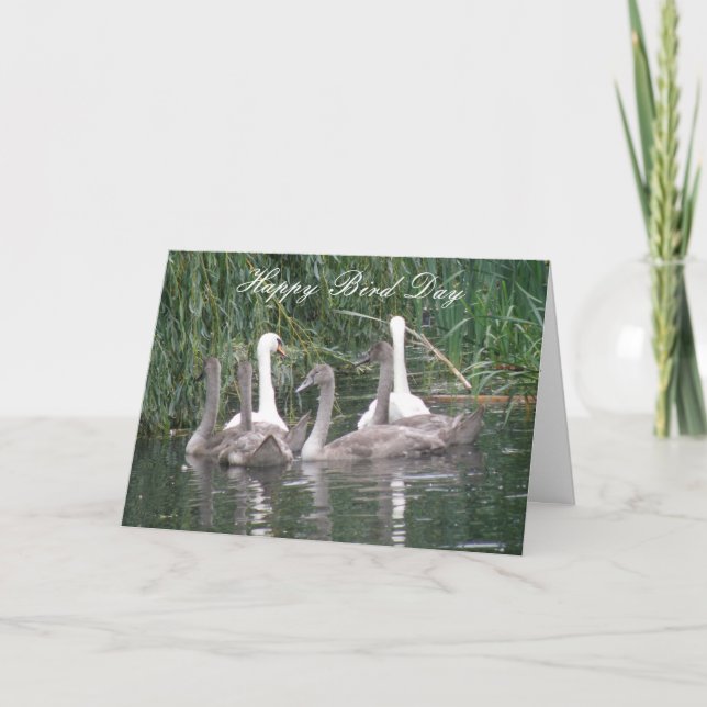 Swans and Cygnets Custom Birthday Card (Front)