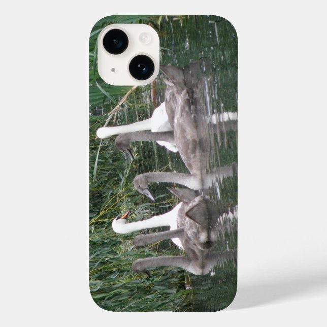 Swans and Cygnets iPhone Case (Back)