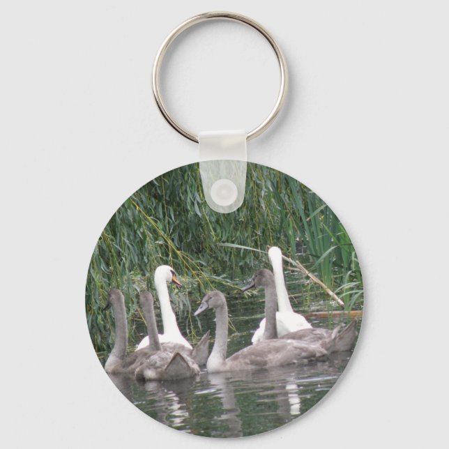 Swans and Cygnets Keychain (Front)