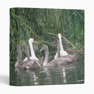 Swans and Cygnets Photograph Album Binder