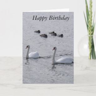 Swans Birthday Card