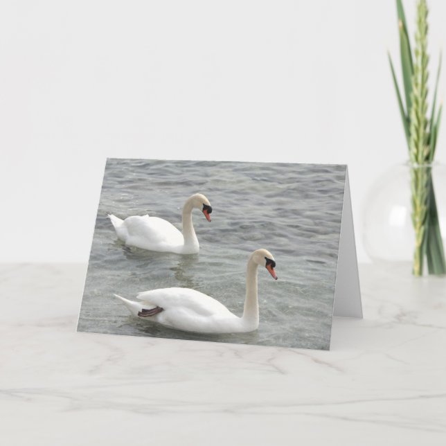 Swans Blank Greeting Card (Front)