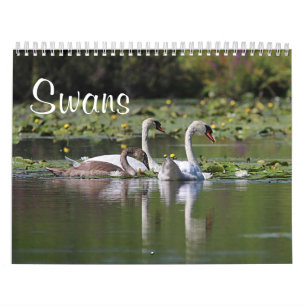 Swans Calendar