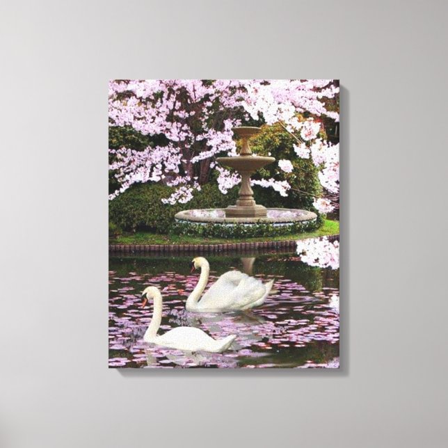 Swans Canvas Print (Front)