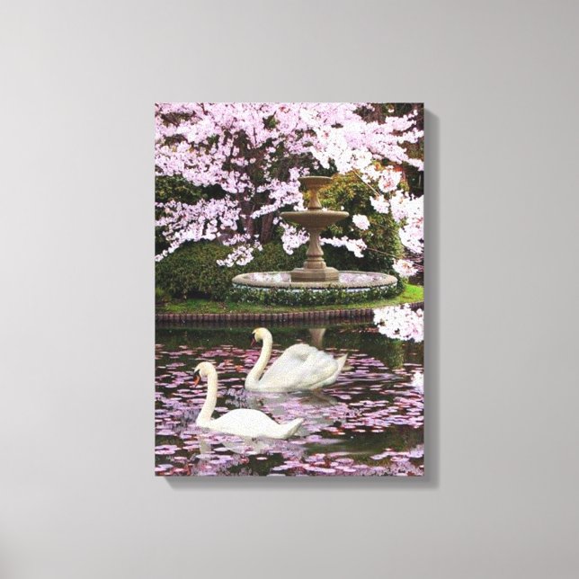 Swans Canvas Print (Front)