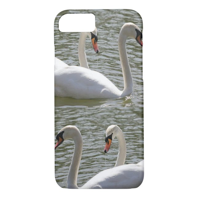 Swans coque iphone (Dos)