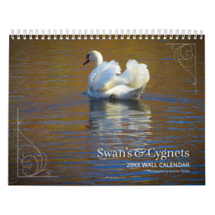 Swans & Cygnets Photography Calendar