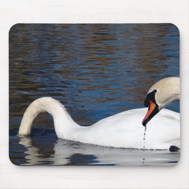 Swans Feeding Mouse Pad (Front)