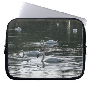 Swans Feeding, Roath Park Lake, Cardiff Laptop Sleeve
