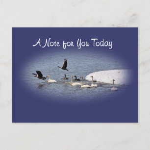 Swans & Geese Postcard-oval- customize Postcard