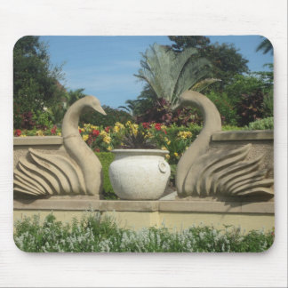 Swans Guarding Hollis Gardens Mouse Pad