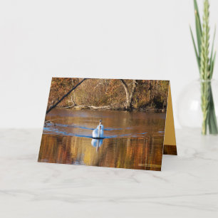 Swans in Autumn Card