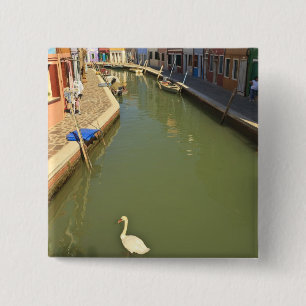 Swans in canal, Burano Island, Venice, Italy 2 Inch Square Button