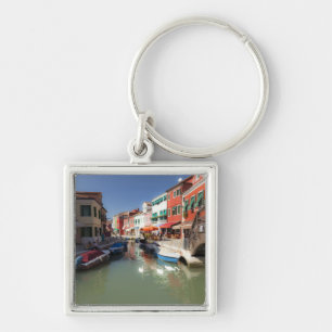 Swans in canal, Burano Island, Venice, Italy Keychain