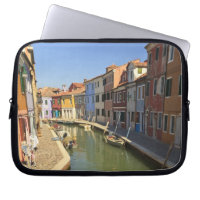 Swans in canal, Burano Island, Venice, Italy