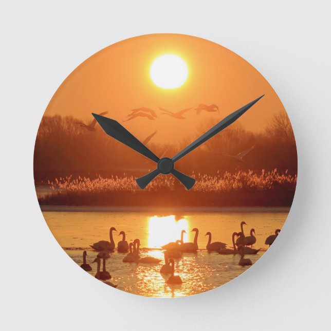 Swans in Lake at Sunset Round Clock (Front)