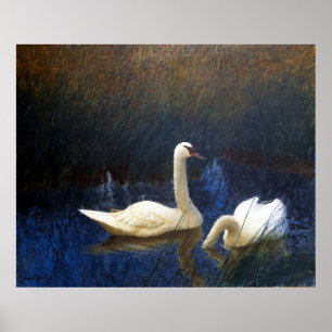 Swans in Reeds (1907) Poster