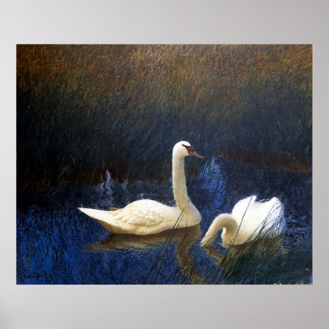 Swans in Reeds (1907) Poster (Front)