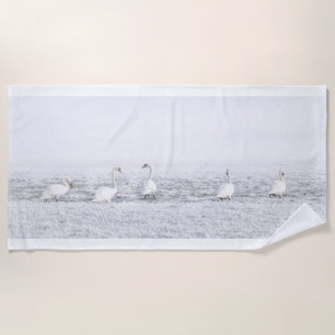Swans in the winter snow elegant white grey beach towel
