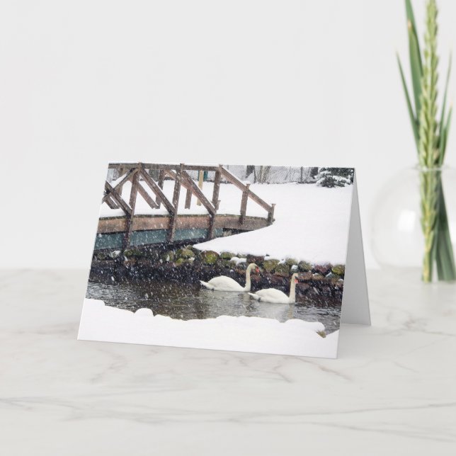 Swans in Winter Holiday Card (Front)