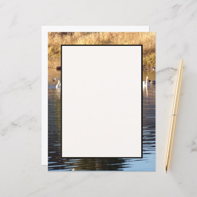 Swans n Ducks Stationery Sheet (Front/Back In Situ)