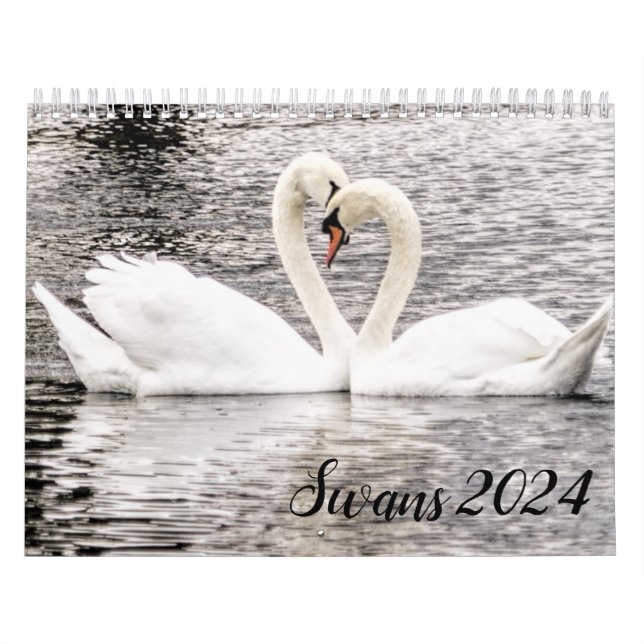 Swans of Spring Grove  Calendar (Cover)