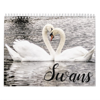 Swans of Spring Grove  Calendar