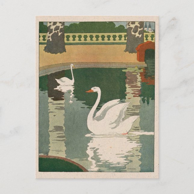 Swans on Castle Lake Postcard (Front)