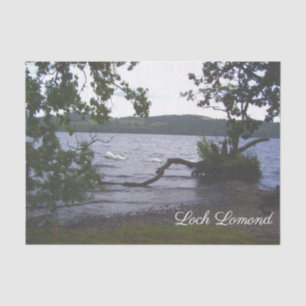 Swans on Loch Lomond Tissue Paper