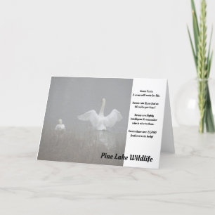 Swans on Pine Lake Card