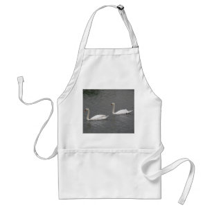 Swans on the River Apron