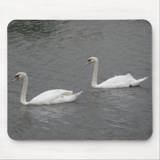 Swans on the River Mousepad