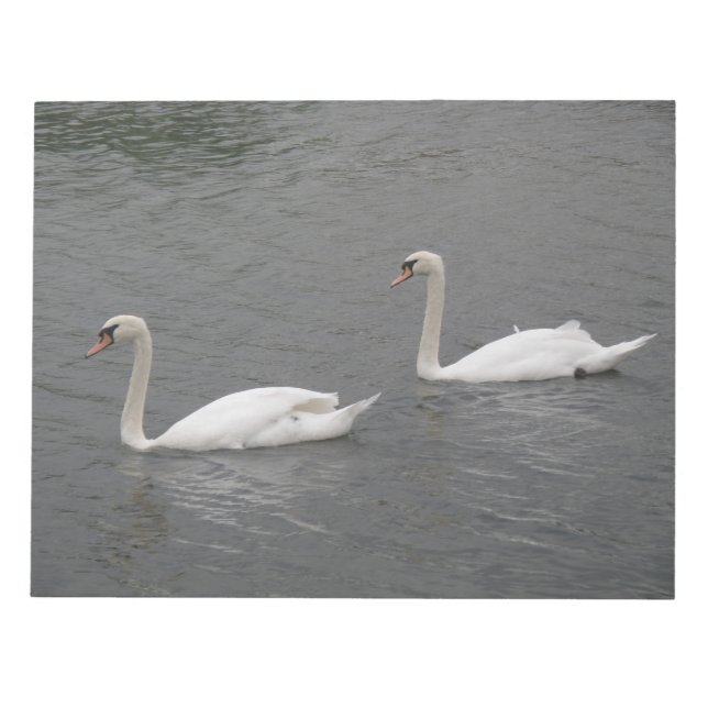 Swans on the River Notepad (Front)
