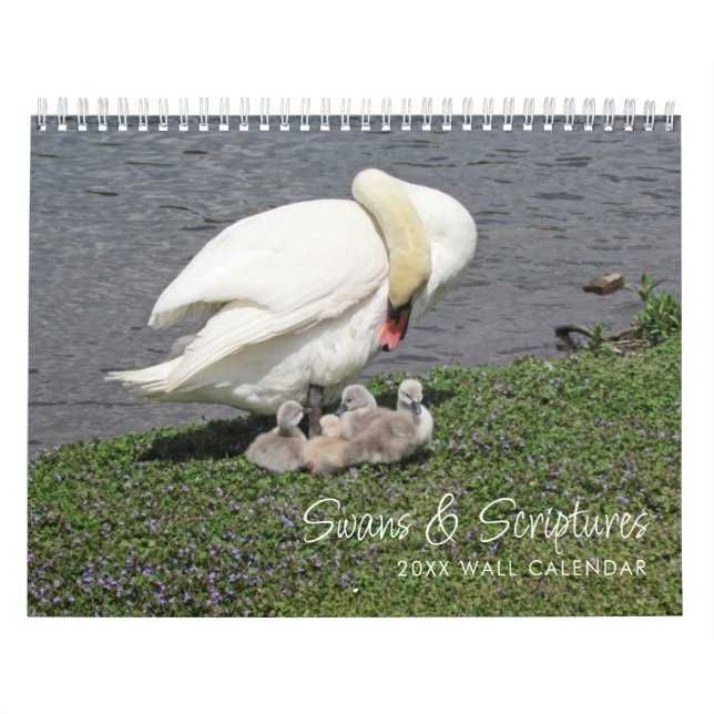 Swans & Scriptures Photography Calendar (Cover)